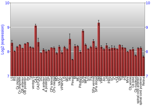 Expression graph