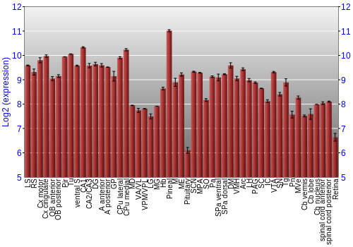 Expression graph