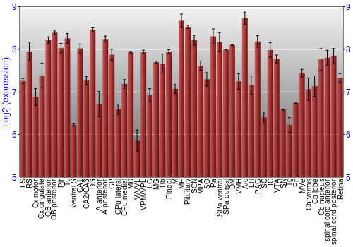 Expression graph