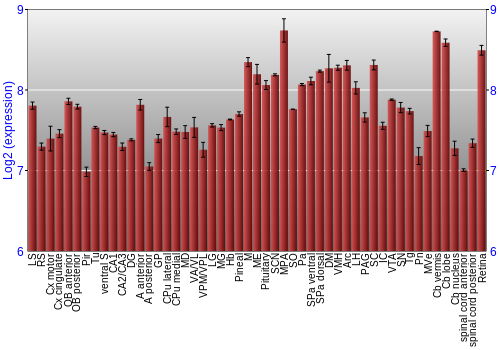 Expression graph