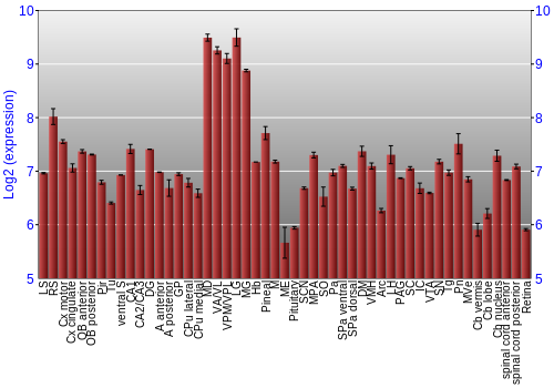 Expression graph