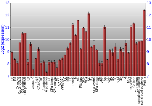 Expression graph