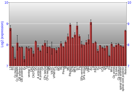 Expression graph