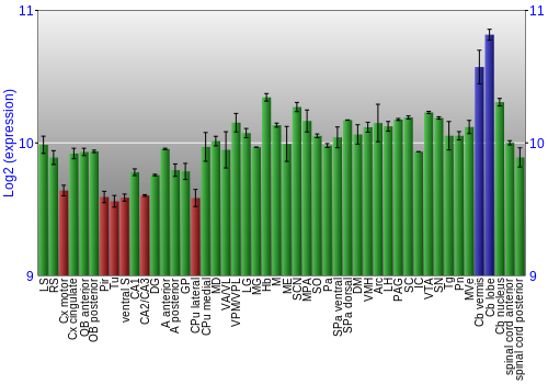 Multi-state expression graph