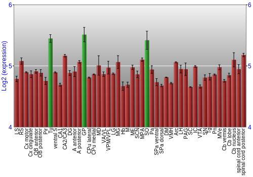 Multi-state expression graph