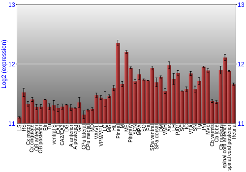 Expression graph