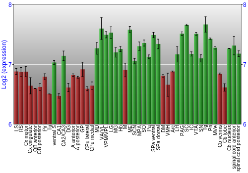 Multi-state expression graph