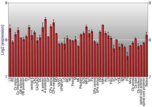 Expression graph