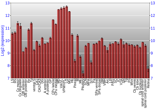 Expression graph