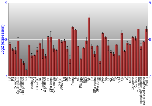 Expression graph
