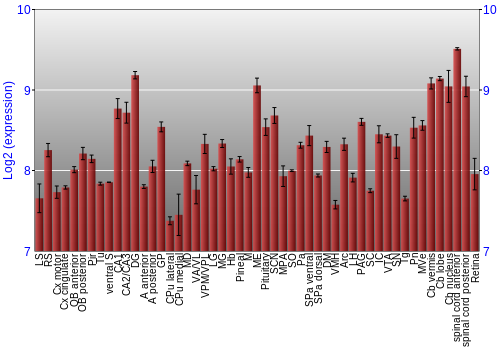 Expression graph