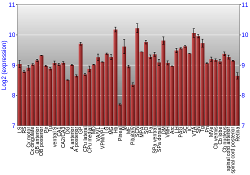 Expression graph