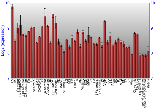 Expression graph