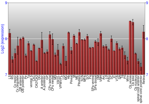 Expression graph