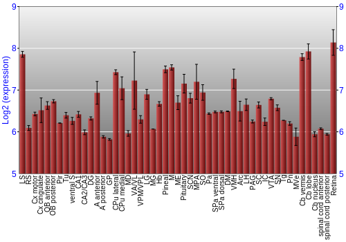 Expression graph