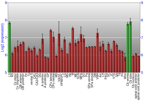 Multi-state expression graph