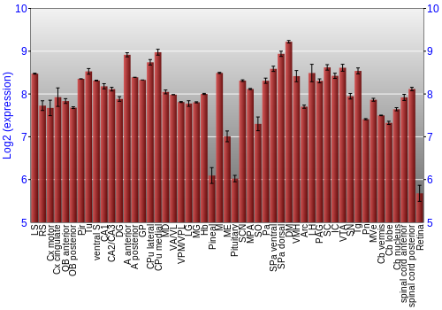 Expression graph