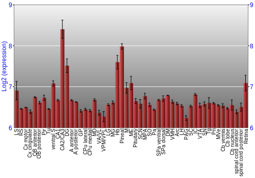 Expression graph