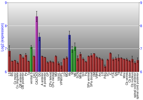 Multi-state expression graph