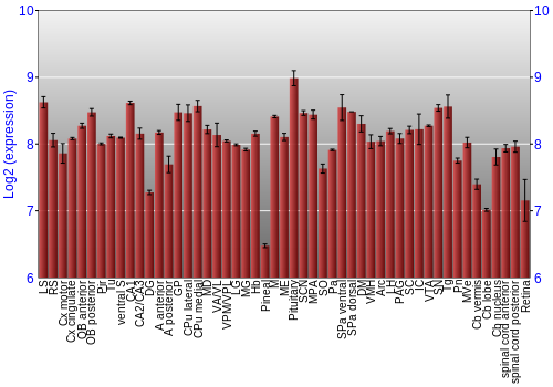 Expression graph