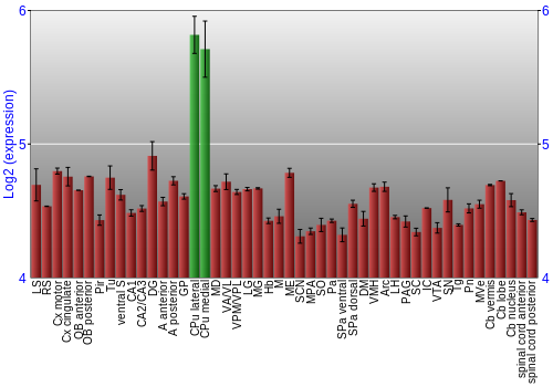 Multi-state expression graph