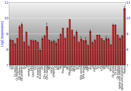 Expression graph