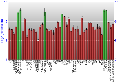 Multi-state expression graph