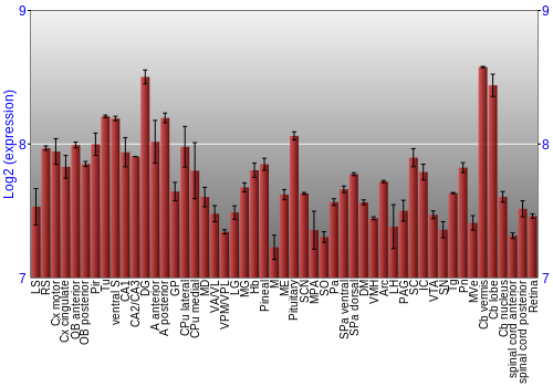 Expression graph