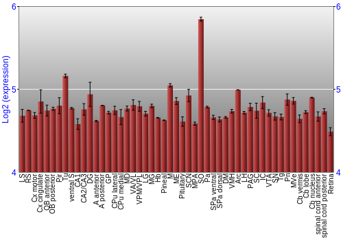 Expression graph