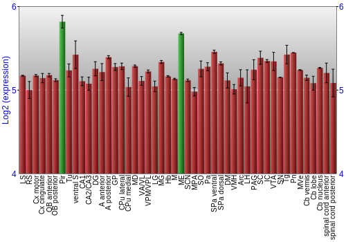 Multi-state expression graph