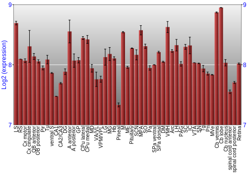 Expression graph
