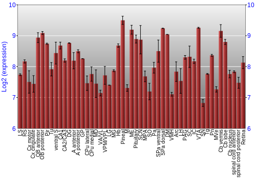 Expression graph