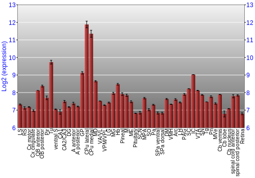 Expression graph