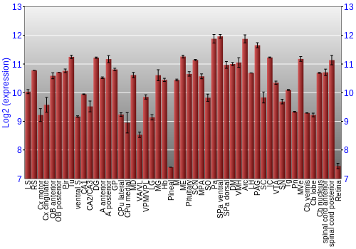 Expression graph
