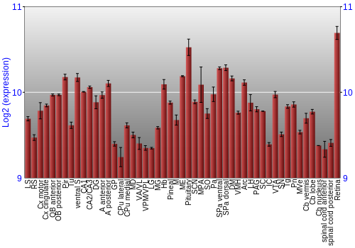 Expression graph