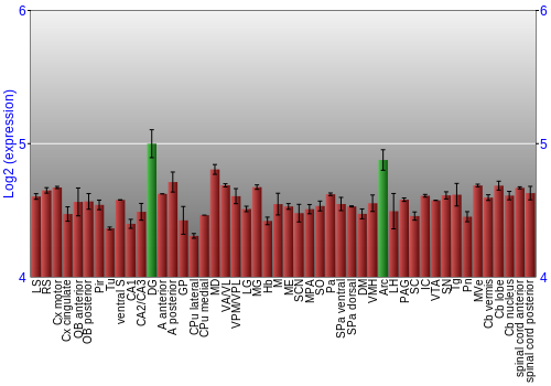 Multi-state expression graph