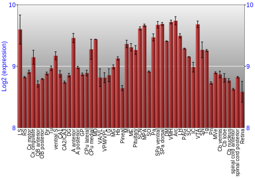 Expression graph