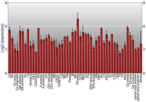 Expression graph