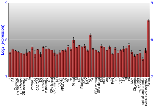 Expression graph