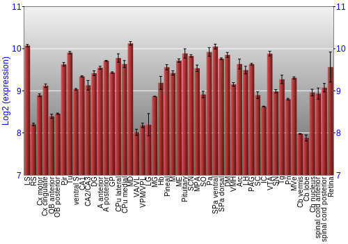 Expression graph