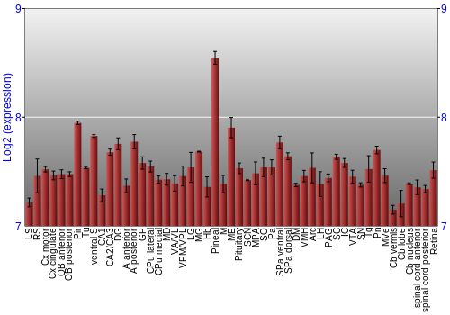 Expression graph