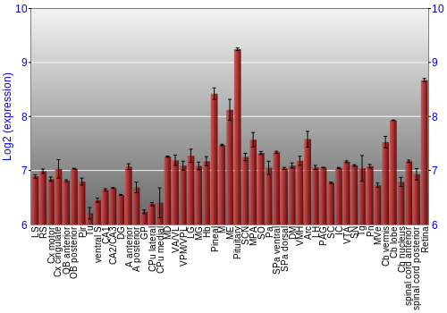 Expression graph