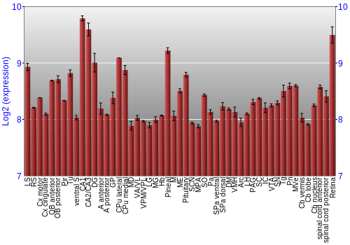 Expression graph