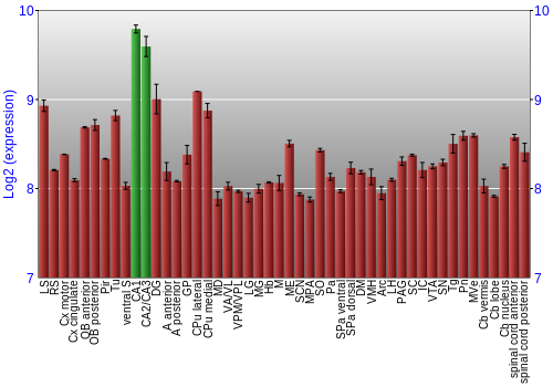 Multi-state expression graph
