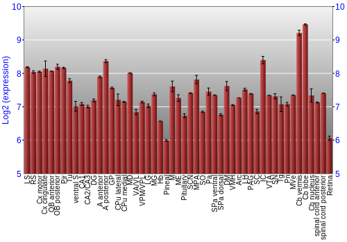 Expression graph