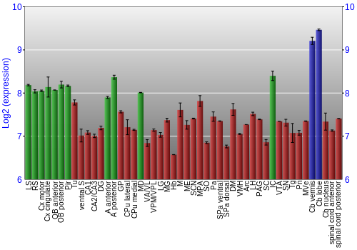 Multi-state expression graph