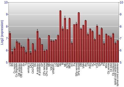 Multi-state expression graph