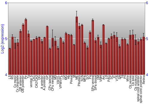 Expression graph