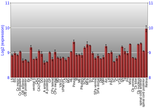 Expression graph