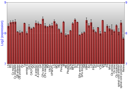 Expression graph